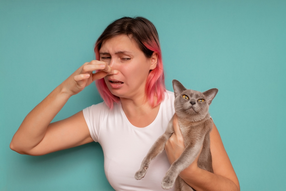 Why Do My Cats Farts Odor Like Eggs? Our Vet Explains