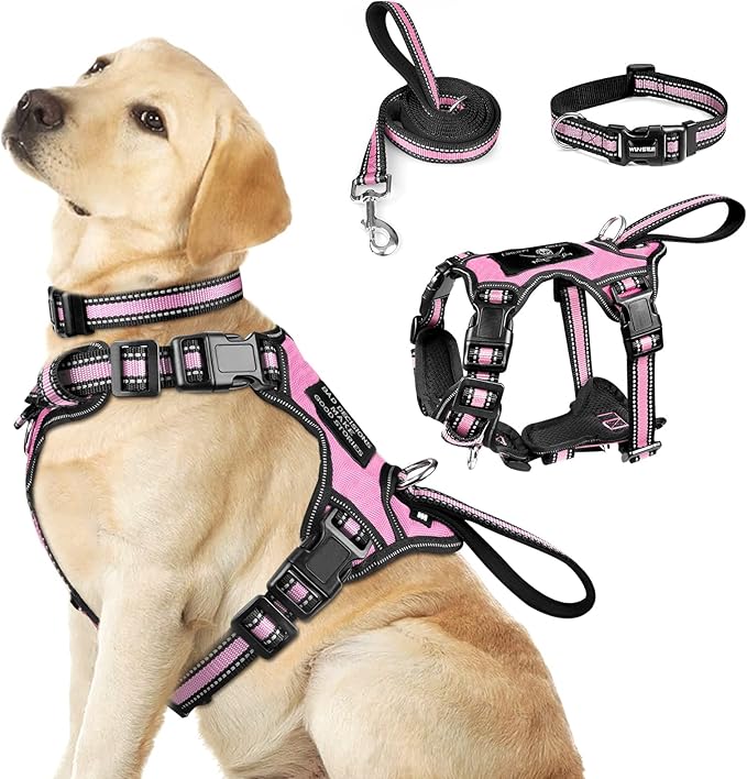 WINSEE Pet Harness, Collar, and Leash Set