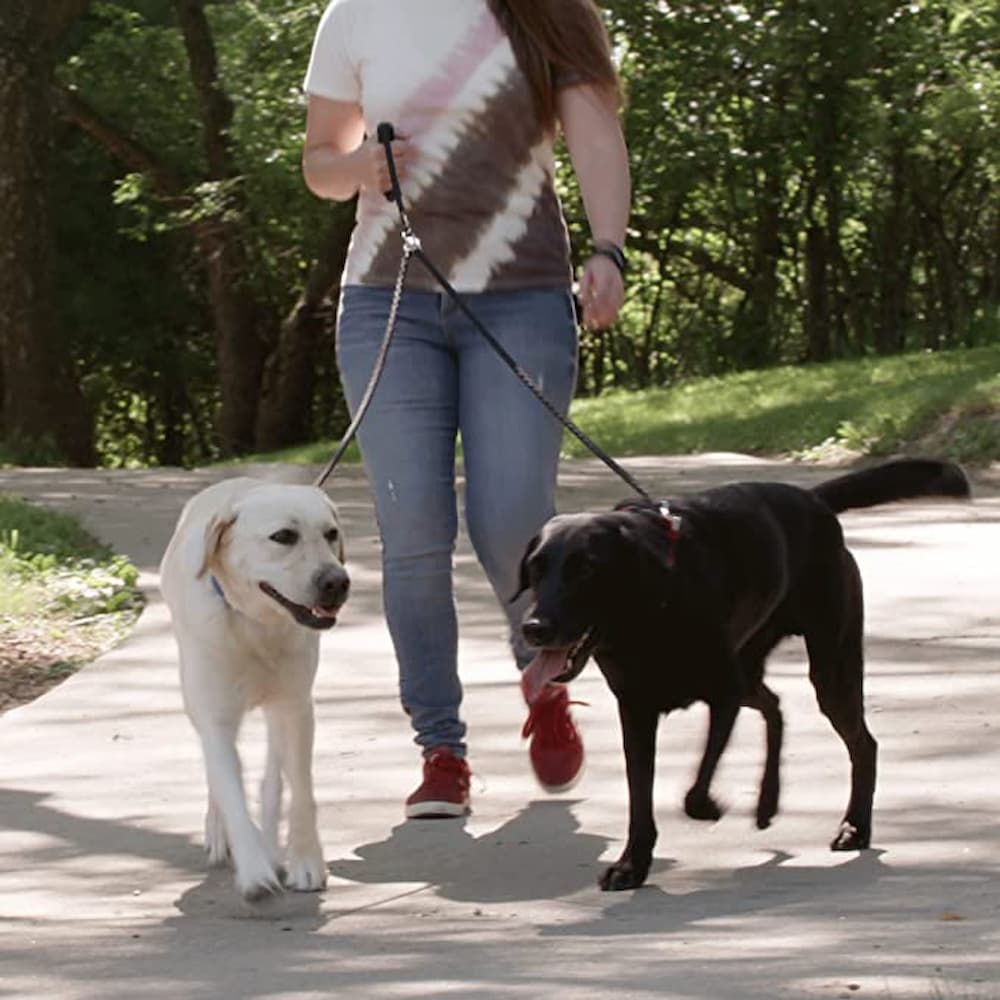 Caldwell's Dual Dog Leash Double Dog Leash