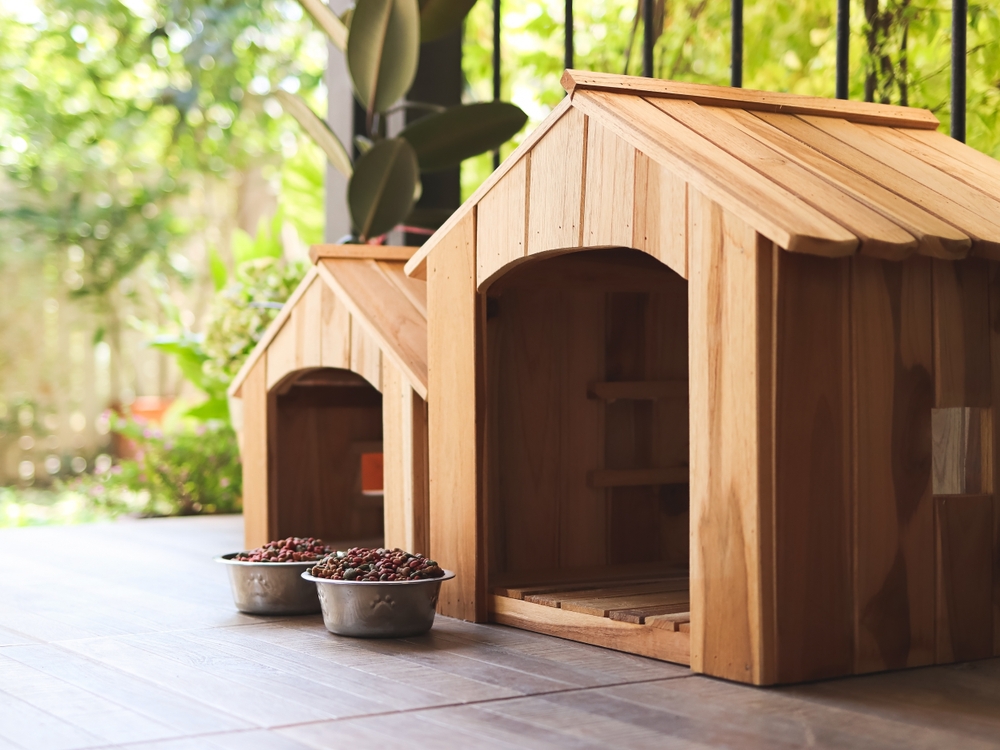 Prime 10 Most interesting Canine Properties for Comfort and Sturdiness in 2025 – Vetstreet